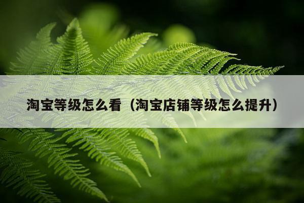 淘宝等级怎么看（淘宝店铺等级怎么提升）