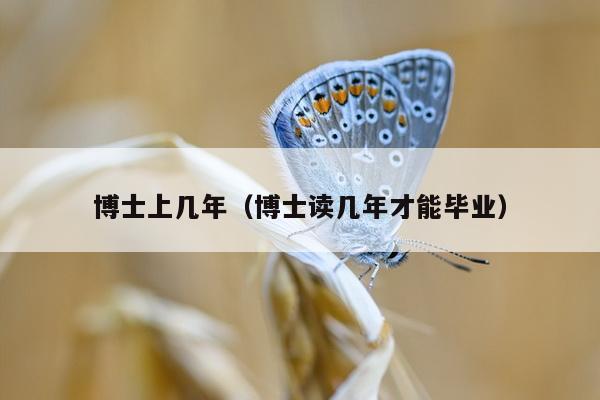 博士上几年（博士读几年才能毕业）