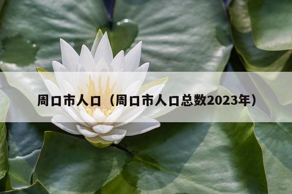 周口市人口（周口市人口总数2023年）