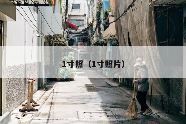 1寸照（1寸照片）