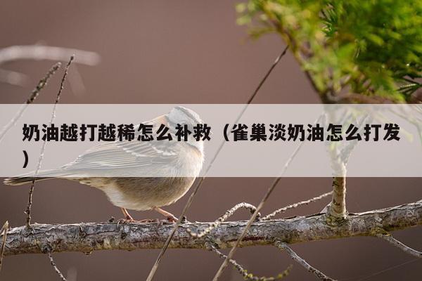 奶油越打越稀怎么补救（雀巢淡奶油怎么打发）