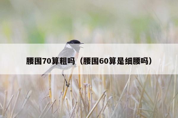 腰围70算粗吗（腰围60算是细腰吗）