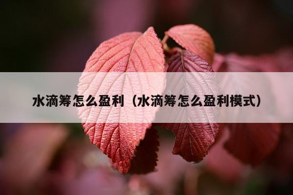 水滴筹怎么盈利（水滴筹怎么盈利模式）