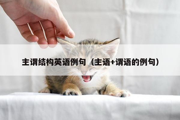 主谓结构英语例句（主语+谓语的例句）