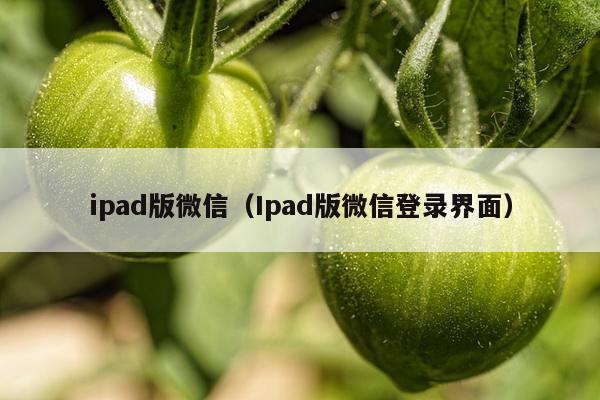 ipad版微信（Ipad版微信登录界面）