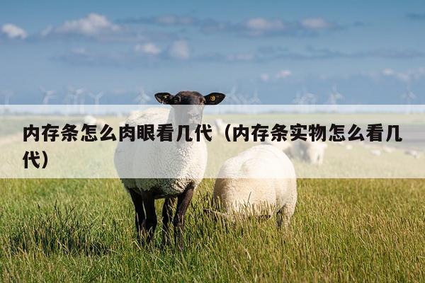 内存条怎么肉眼看几代（内存条实物怎么看几代）