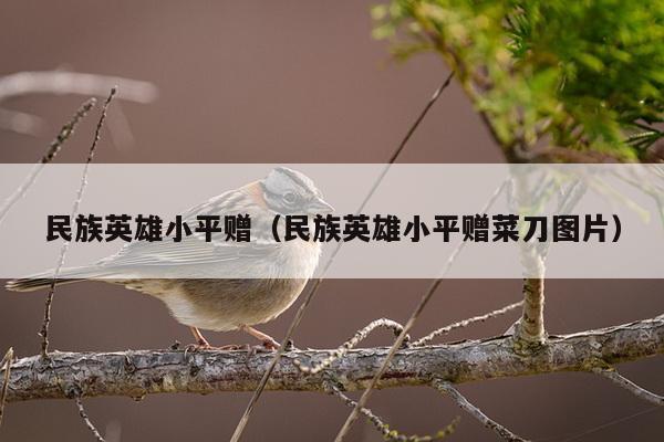 民族英雄小平赠（民族英雄小平赠菜刀图片）