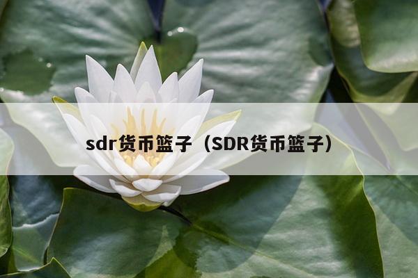 sdr货币篮子（SDR货币篮子）