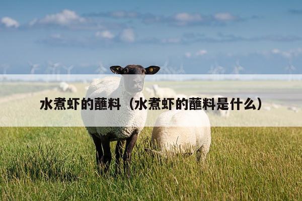 水煮虾的蘸料（水煮虾的蘸料是什么）