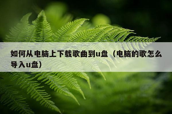 如何从电脑上下载歌曲到u盘（电脑的歌怎么导入u盘）