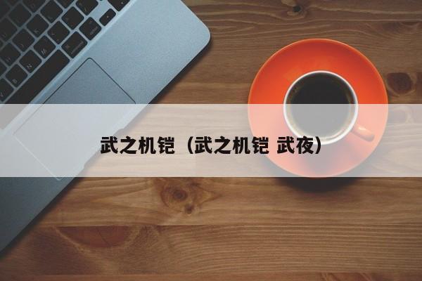 武之机铠（武之机铠 武夜）