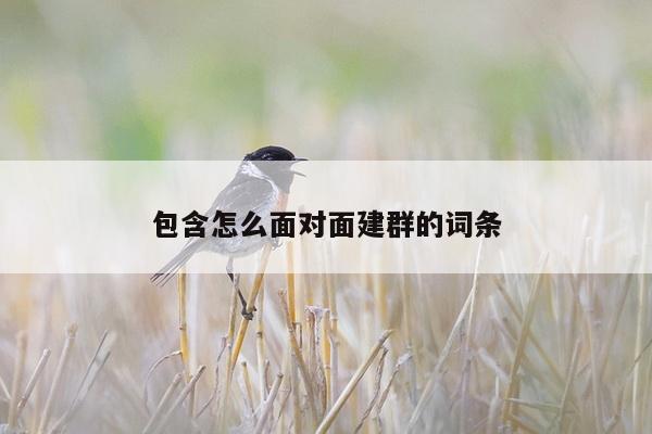 包含怎么面对面建群的词条