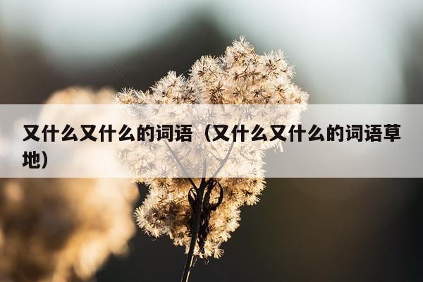 又什么又什么的词语（又什么又什么的词语草地）