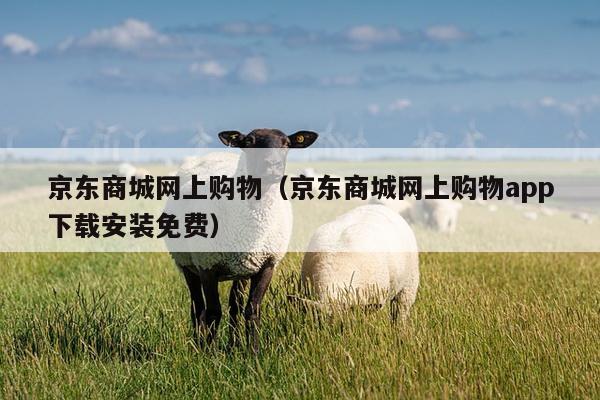 京东商城网上购物（京东商城网上购物app下载安装免费）