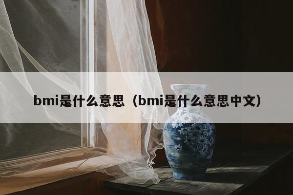 bmi是什么意思（bmi是什么意思中文）