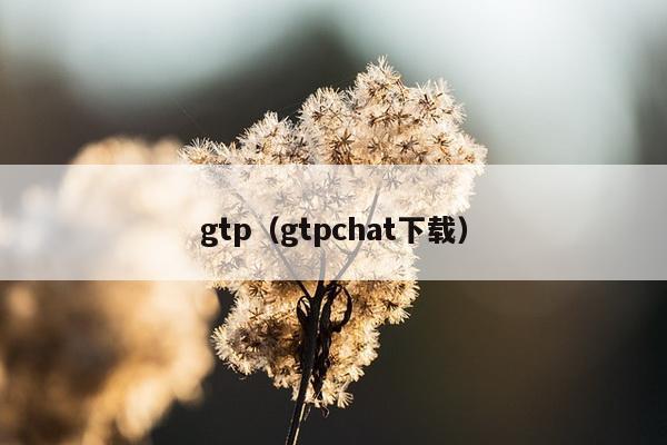 gtp（gtpchat下载）