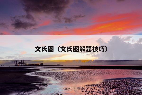 文氏图（文氏图解题技巧）