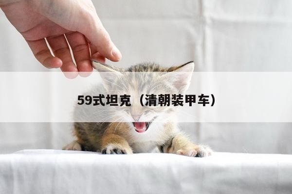 59式坦克（清朝装甲车）