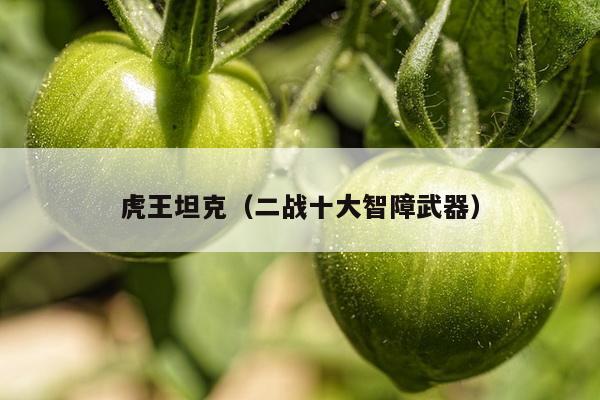 虎王坦克（二战十大智障武器）