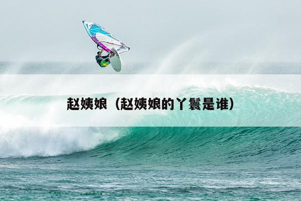 赵姨娘（赵姨娘的丫鬟是谁）