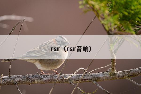 rsr（rsr音响）