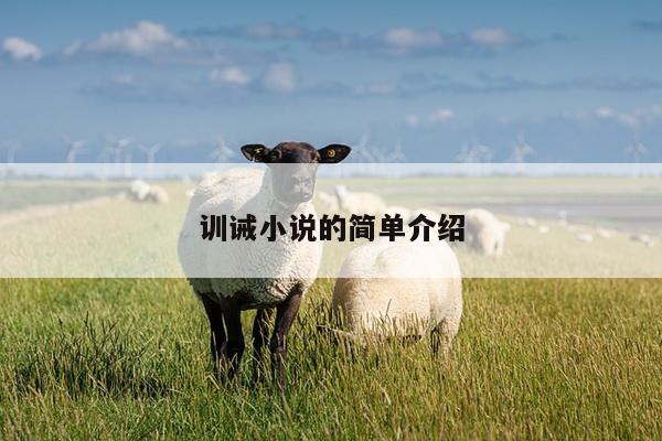训诫小说的简单介绍