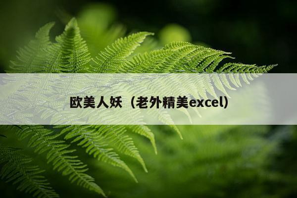 欧美人妖（老外精美excel）