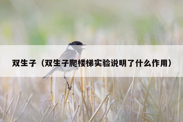 双生子（双生子爬楼梯实验说明了什么作用）