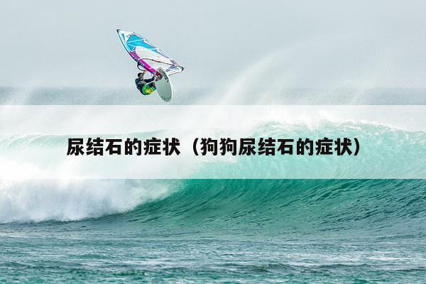 尿结石的症状（狗狗尿结石的症状）