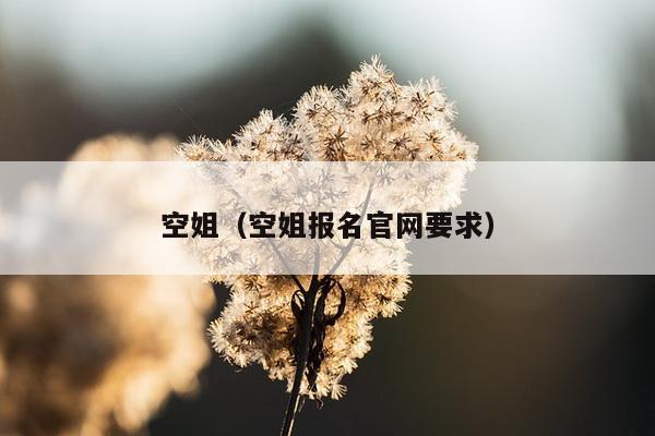 空姐（空姐报名官网要求）
