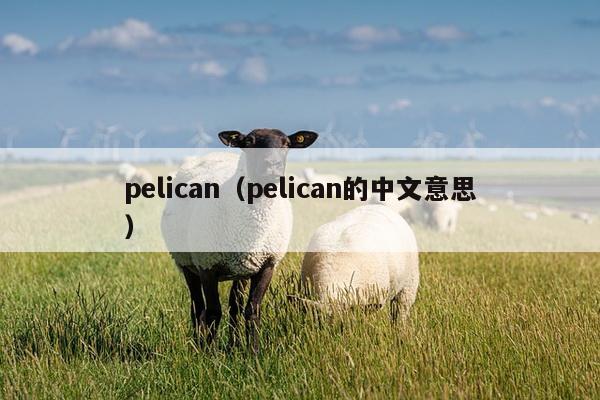 pelican（pelican的中文意思）