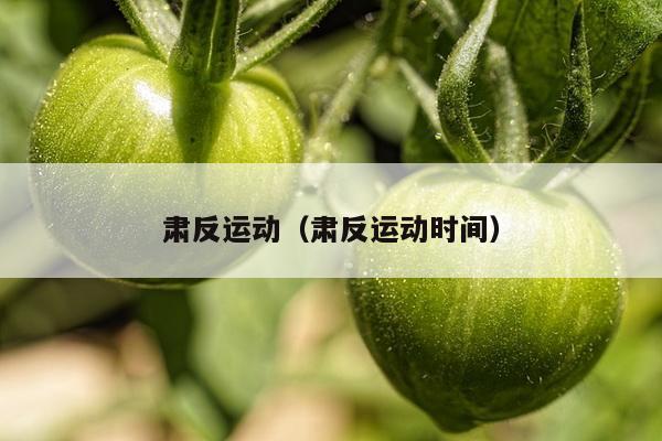 肃反运动（肃反运动时间）