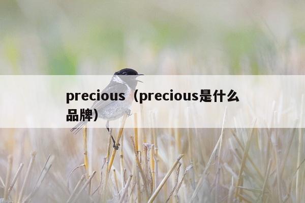 precious（precious是什么品牌）