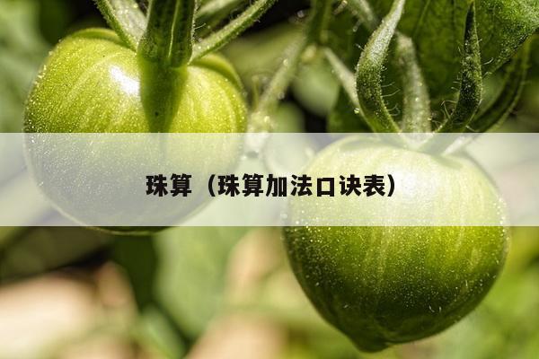 珠算（珠算加法口诀表）
