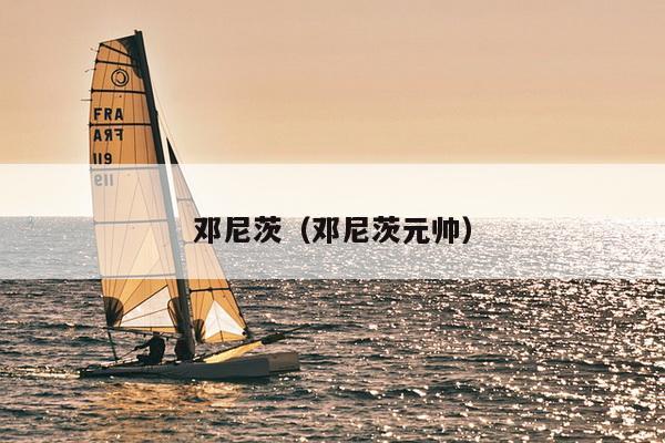 邓尼茨（邓尼茨元帅）