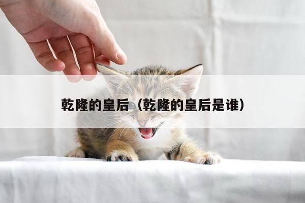 乾隆的皇后（乾隆的皇后是谁）
