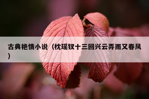 古典艳情小说（枕瑶钗十三回兴云弄雨又春风）