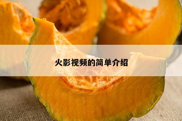 火影视频的简单介绍