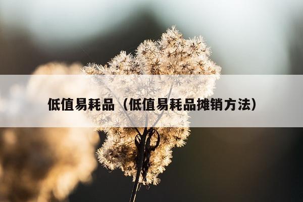 低值易耗品（低值易耗品摊销方法）