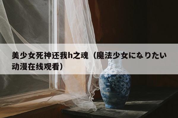 美少女死神还我h之魂（魔法少女になりたい动漫在线观看）