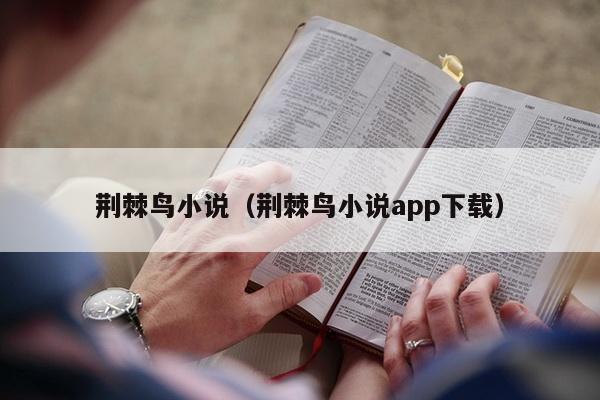 荆棘鸟小说（荆棘鸟小说app下载）