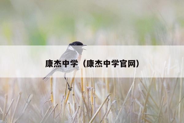 康杰中学（康杰中学官网）