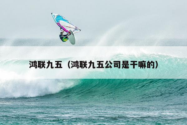 鸿联九五（鸿联九五公司是干嘛的）