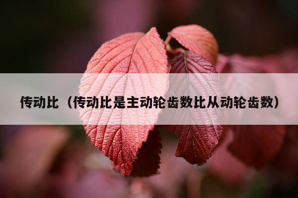 传动比（传动比是主动轮齿数比从动轮齿数）