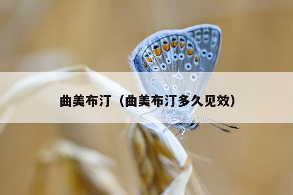 曲美布汀（曲美布汀多久见效）