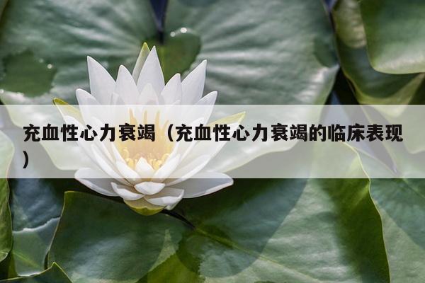 充血性心力衰竭（充血性心力衰竭的临床表现）