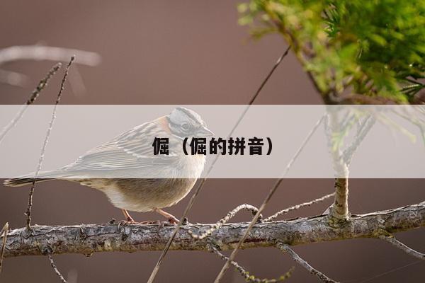 倔（倔的拼音）