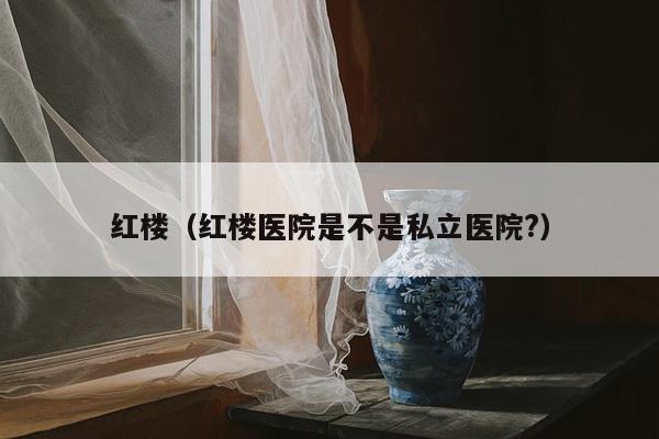 红楼（红楼医院是不是私立医院?）