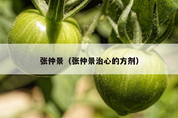 张仲景（张仲景治心的方剂）