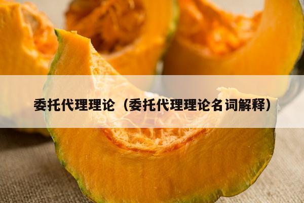 委托代理理论（委托代理理论名词解释）